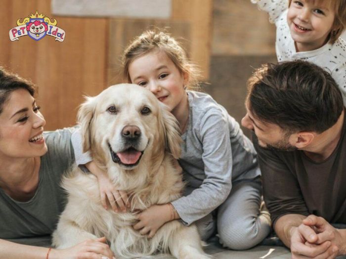 Dạy chó đi vệ sinh theo lịch trình