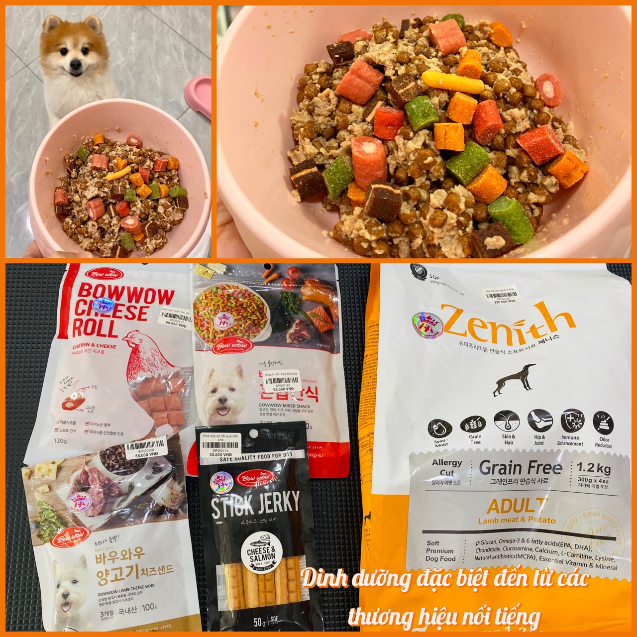 Khách sạn cho chó