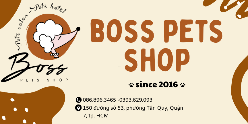 Dịch vụ trông giữ chó mèo