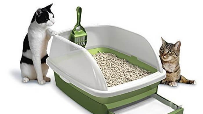 Cách Dạy Mèo Đi Vệ Sinh