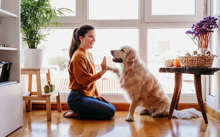 Cách chữa trị chó đi ngoài ra giun tại nhà