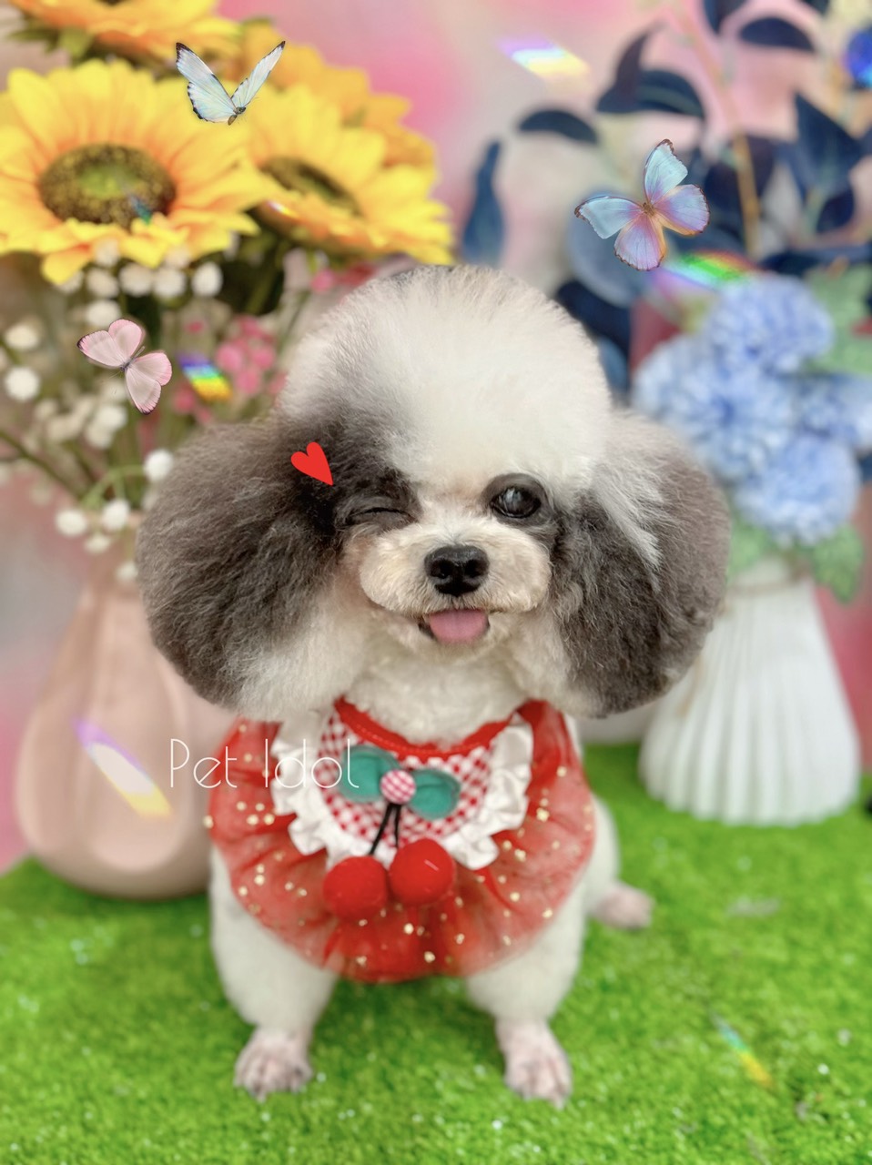 Cách tẩy giun cho chó tại nhà đúng cách