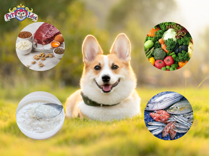 Cách nuôi chó Phú Quốc chú ý đến thức ăn