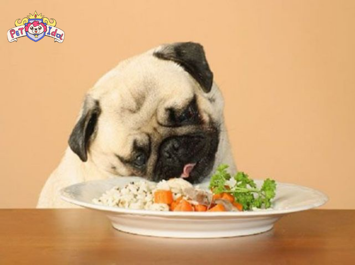 Cách nuôi chó Pug chia theo khẩu phần ăn