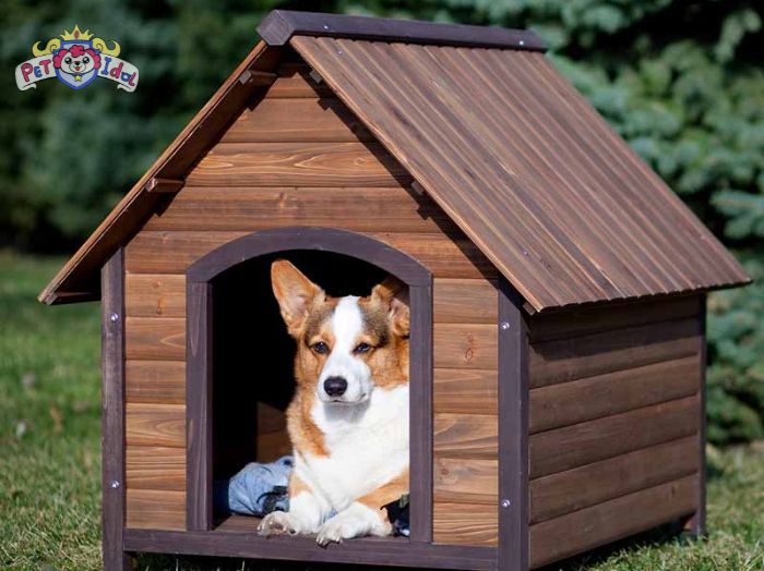 Vậy chọn chuồng cho chó như thế nào là phù hợp?