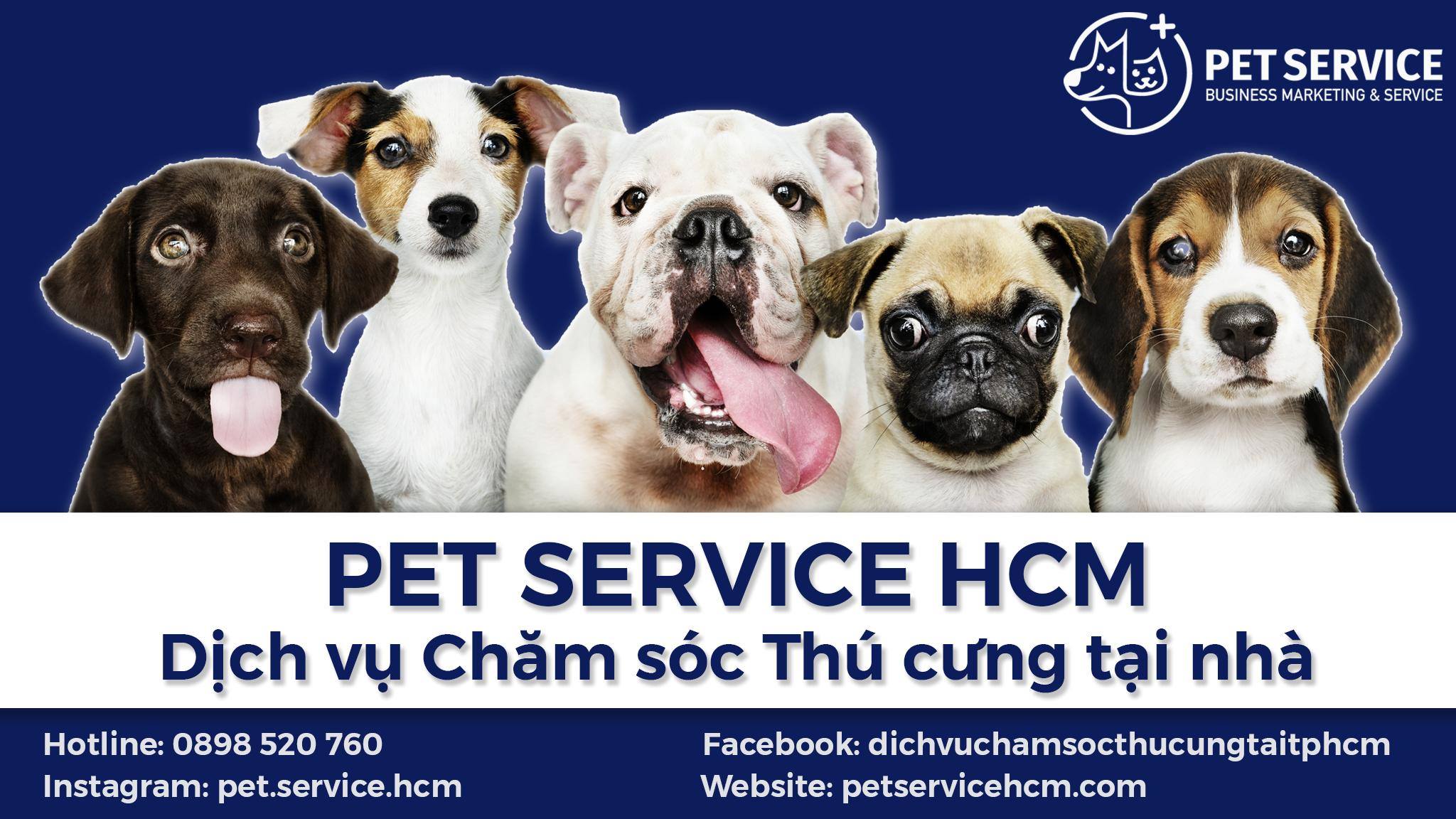 Top shop thú cưng uy tín và chất lượng tại quận 7